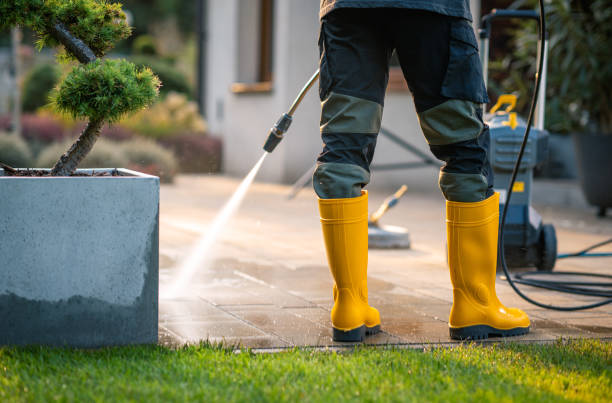 Best Deck Cleaning Services  in USA